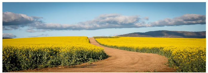 cootamundra
